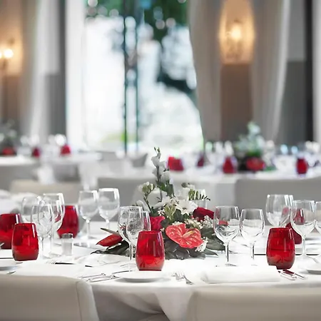 阿斯科纳酒店 酒店 阿斯科纳