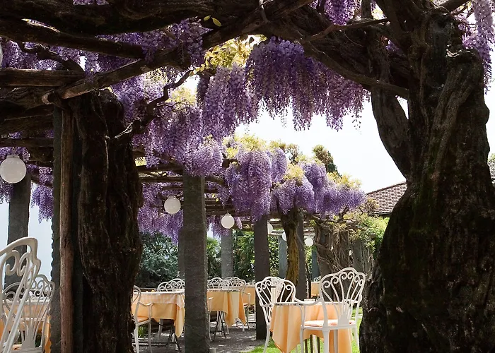 فندق Ascona 4* أسكونا